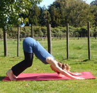 Keep the knees super-bent in downward dog to take all stress out of the lower back and let the pelvis tilt forward.
