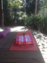 Sara's yoga mat