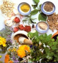 One aspect of Ayurveda is about using food to find balance