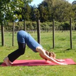 Keep the knees super-bent in downward dog to take all stress out of the lower back and let the pelvis tilt forward.
