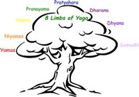 Eight limbs of yoga
