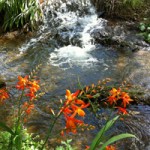 The stream that runs alongside our house... heavenly!
