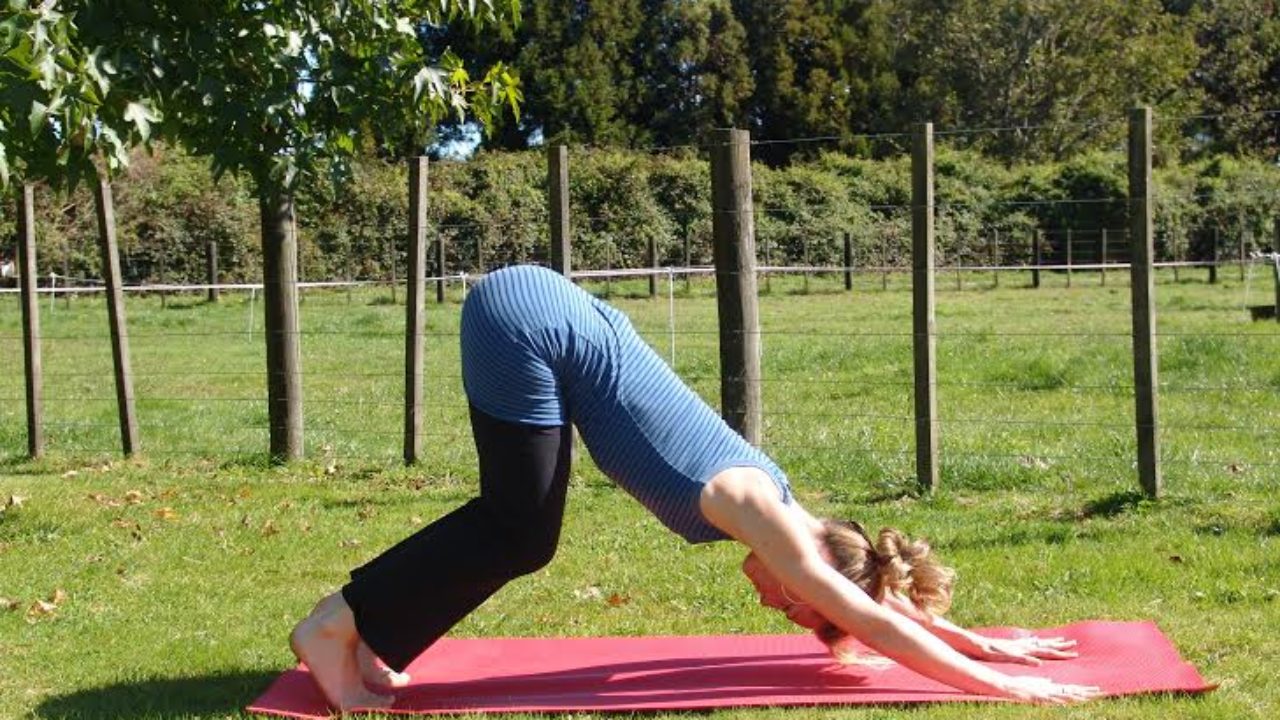 Hot Yoga Locust Valley Blog Dandk