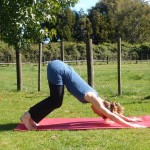 Yoga with a herniated disc