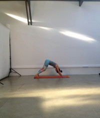 Downward-Dog