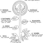 Eight limbs of yoga, as defined by Patanjali in Ashtanga Yoga (as opposed to Ashtanga Vinyasa Yoga as taught by Pattabhi Jois)