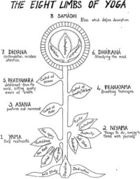 Eight limbs of yoga, as defined by Patanjali in Ashtanga Yoga (as opposed to Ashtanga Vinyasa Yoga as taught by Pattabhi Jois)