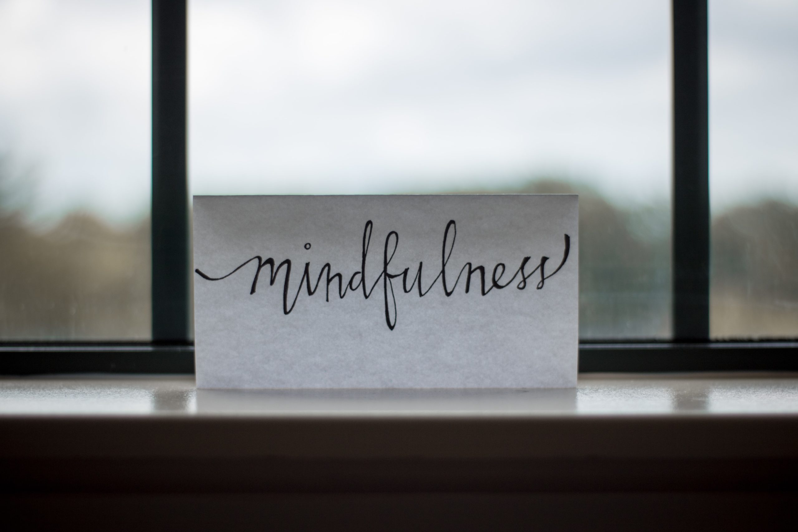Journeys in Mindfulness – Part one
